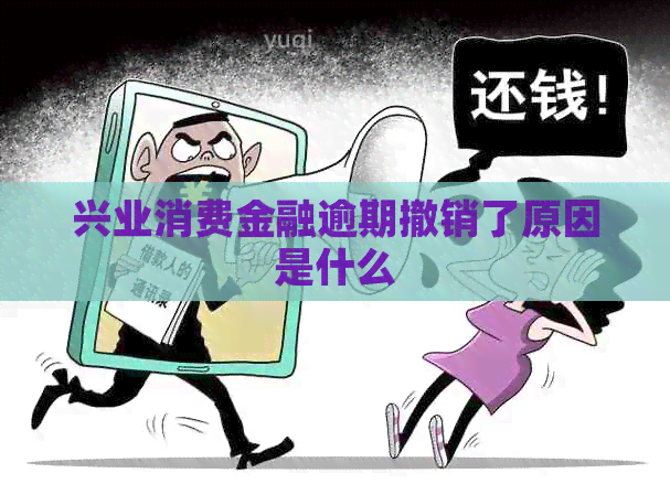 兴业消费金融逾期撤销了原因是什么