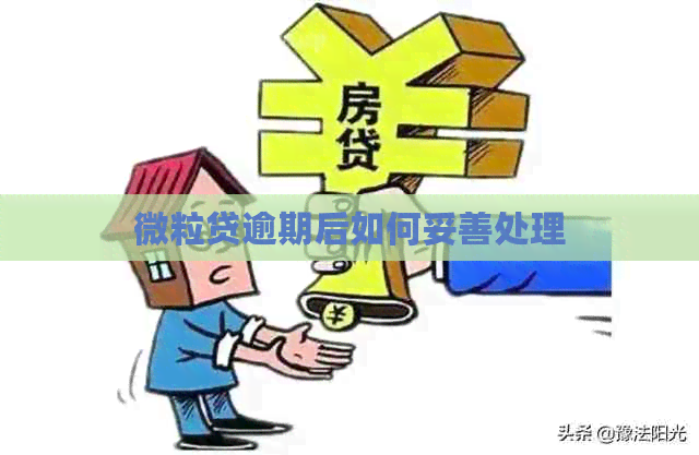 微粒贷逾期后如何妥善处理