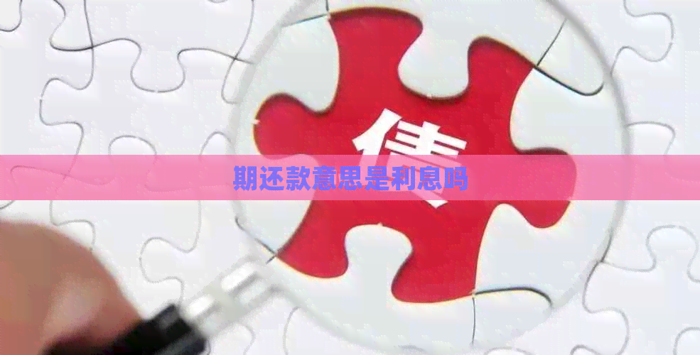 期还款意思是利息吗