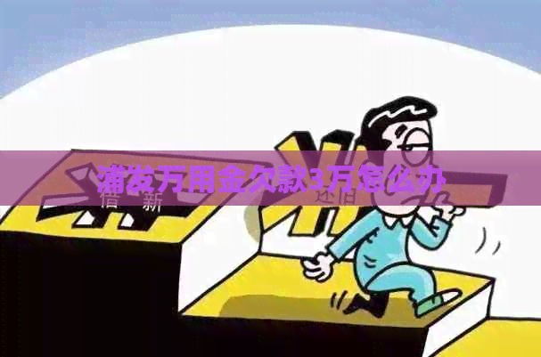 浦发万用金欠款3万怎么办