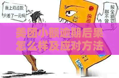 美团小额逾期后果怎么样及应对方法