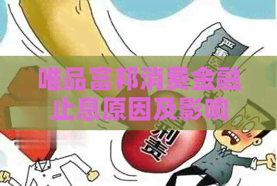 唯品富邦消费金融止息原因及影响