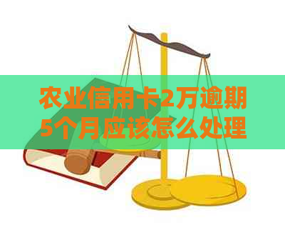 农业信用卡2万逾期5个月应该怎么处理