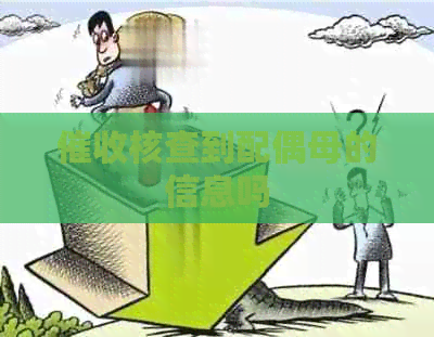核查到配偶母的信息吗