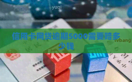 信用卡网贷逾期5000需要赔多少钱