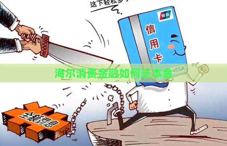 海尔消费金融如何还本金