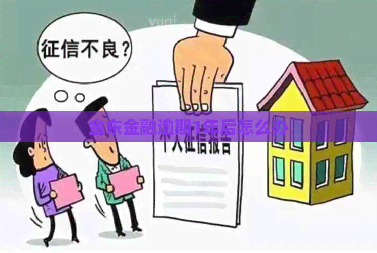 金东金融逾期1年后怎么办