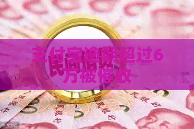支付宝逾期超过6万被