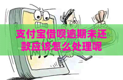 支付宝借呗逾期未还款应该怎么处理呢