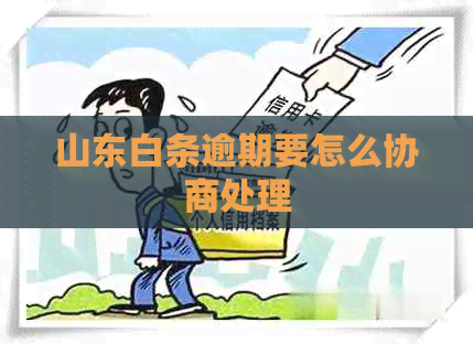 山东白条逾期要怎么协商处理