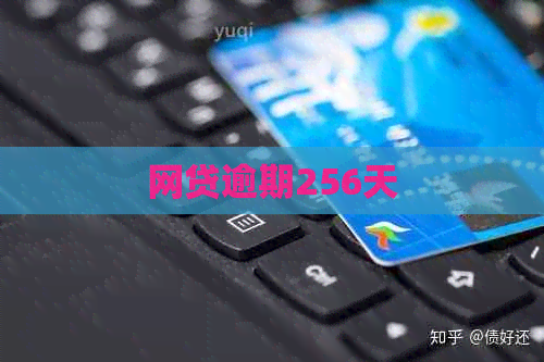 网贷逾期256天