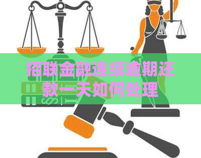 招联金融连续逾期还款一天如何处理