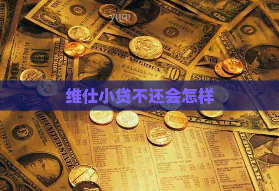 维仕小贷不还会怎样
