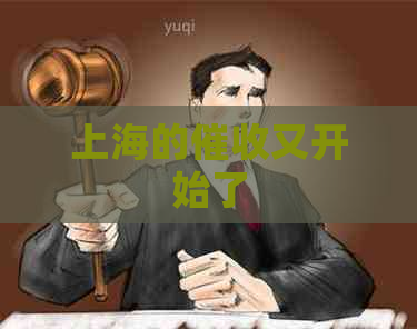 上海的又开始了