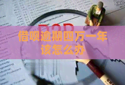 借呗逾期四万一年该怎么办