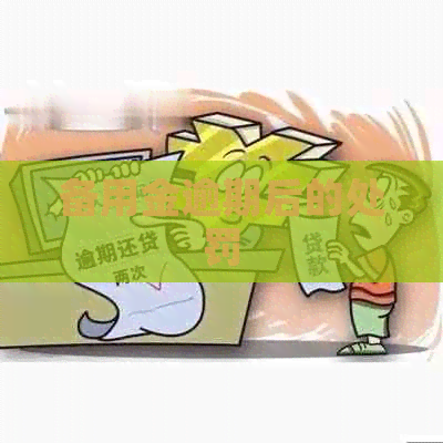 备用金逾期后的处罚