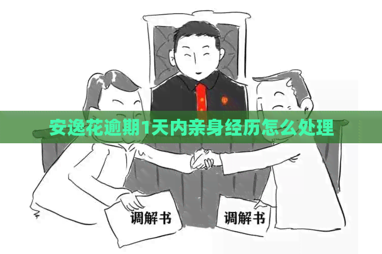 安逸花逾期1天内亲身经历怎么处理