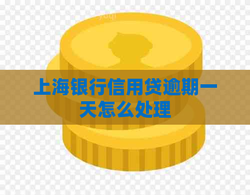 上海银行信用贷逾期一天怎么处理