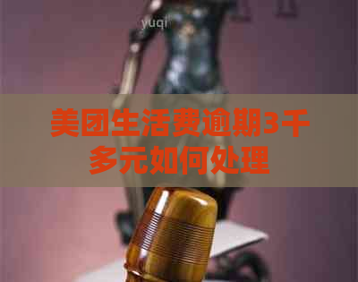 美团生活费逾期3千多元如何处理