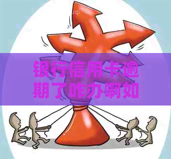 银行信用卡逾期了咋办啊如何解决