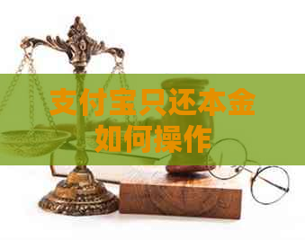 支付宝只还本金如何操作