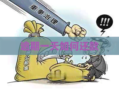 逾期一天如何还款