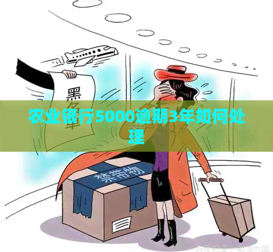 农业银行5000逾期3年如何处理