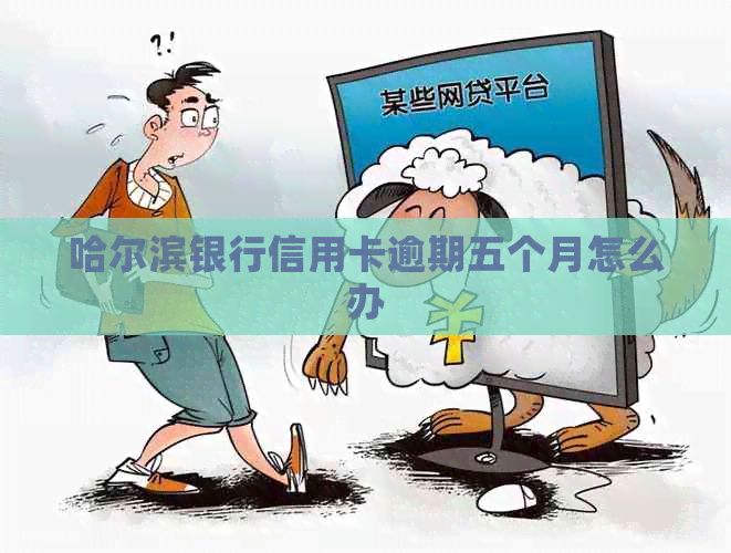 哈尔滨银行信用卡逾期五个月怎么办
