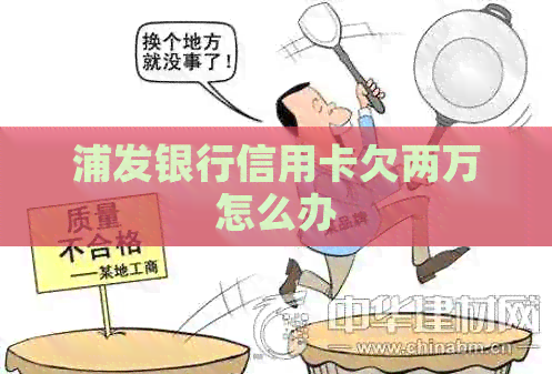 浦发银行信用卡欠两万怎么办