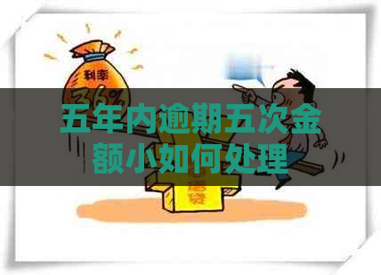 五年内逾期五次金额小如何处理