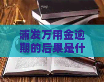 浦发万用金逾期的后果是什么