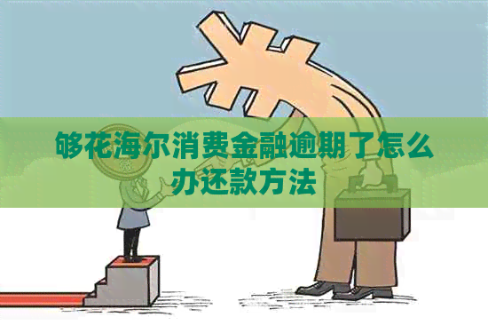 够花海尔消费金融逾期了怎么办还款方法
