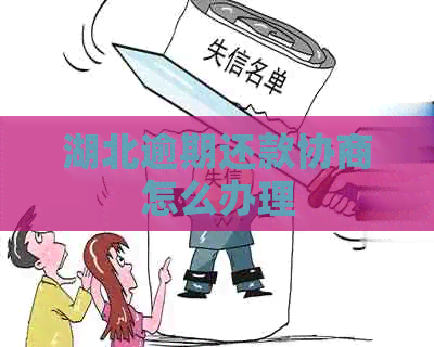 湖北逾期还款协商怎么办理