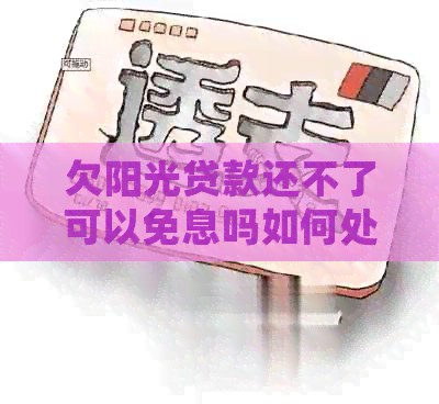 欠阳光贷款还不了可以免息吗如何处理