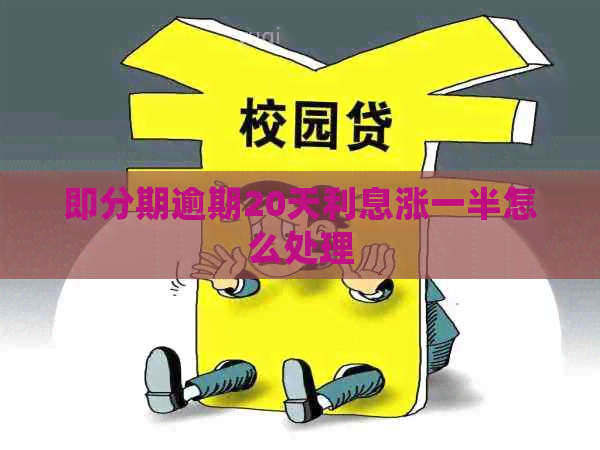 即分期逾期20天利息涨一半怎么处理