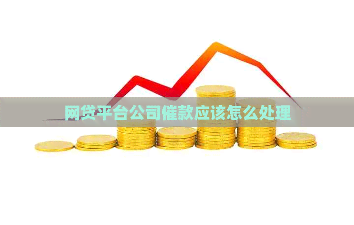 网贷平台公司催款应该怎么处理