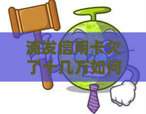 浦发信用卡欠了十几万如何解决