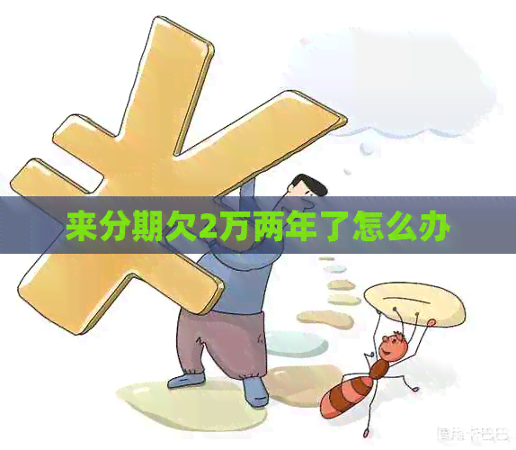 来分期欠2万两年了怎么办