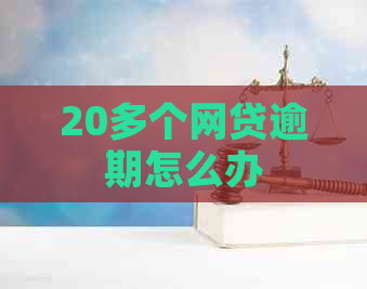 20多个网贷逾期怎么办