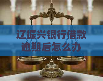 辽振兴银行借款逾期后怎么办