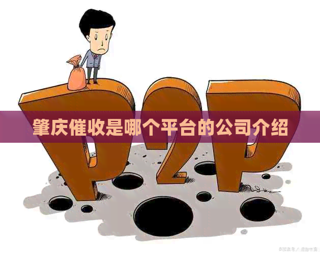 肇庆是哪个平台的公司介绍