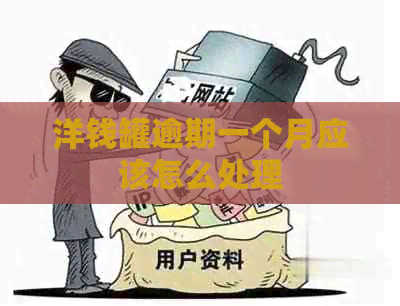 洋钱罐逾期一个月应该怎么处理
