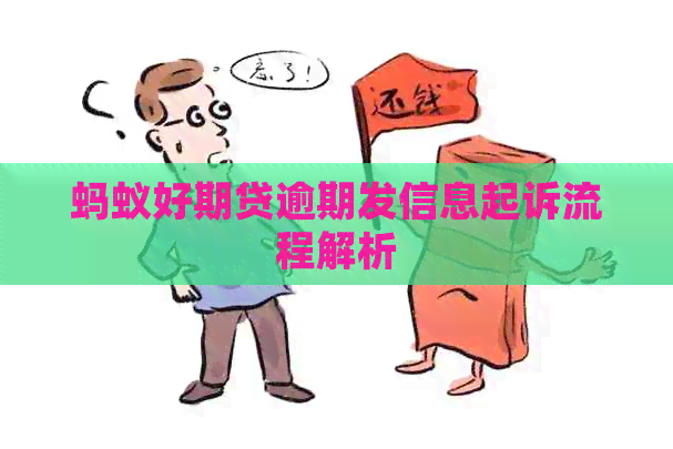 蚂蚁好期贷逾期发信息起诉流程解析