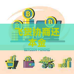 飞贷协商还本金