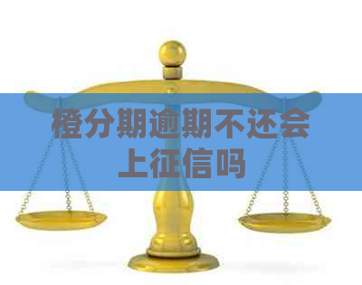 橙分期逾期不还会上吗