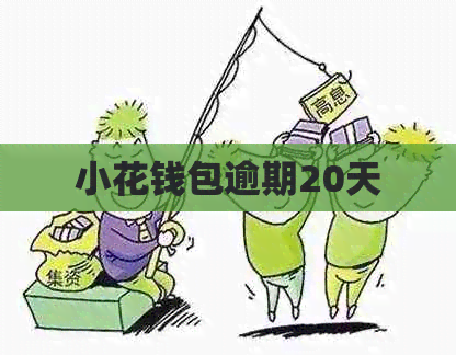 小花钱包逾期20天
