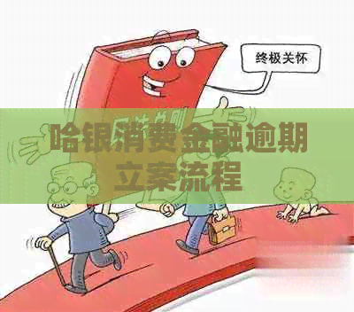 哈银消费金融逾期立案流程