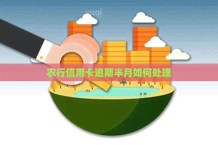 农行信用卡逾期半月如何处理