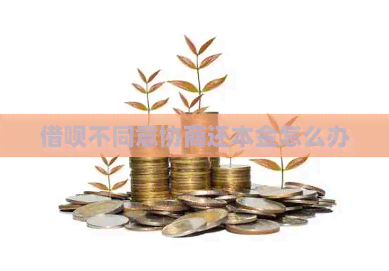 网贷不同意协商还本金怎么办