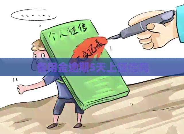 备用金逾期5天上吗
